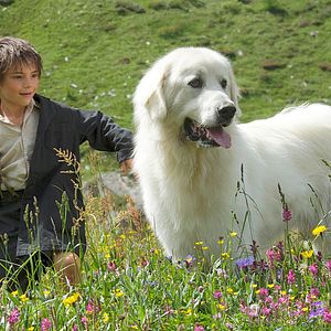 Foto Belle e Sebastian