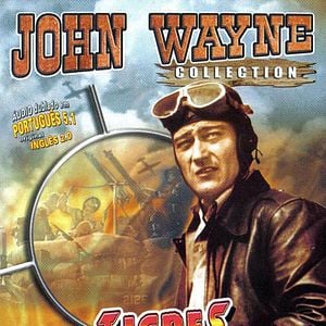 Foto Tigres Voadores