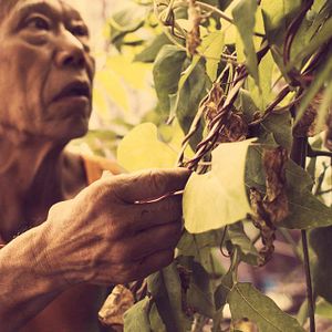 Foto Cutie and the Boxer
