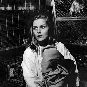 Foto Bunny Lake Desapareceu