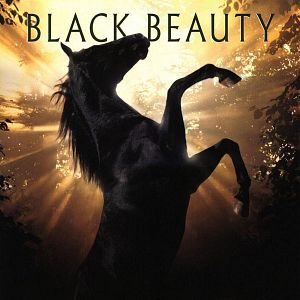 Foto Beleza Negra