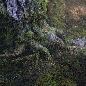 Foto Percy Jackson e o Mar de Monstros