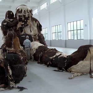 Foto A Corrida da Arte