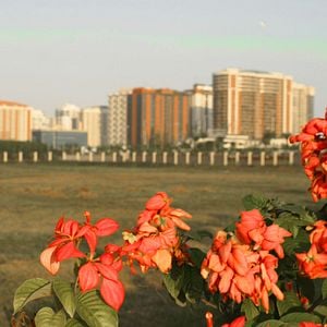 Foto Sorria, Você Está na Barra!