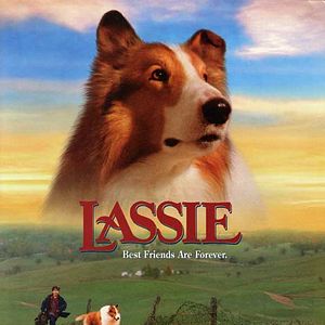 Foto Lassie