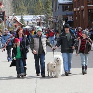 Foto O Cão Que Salvou as Férias de Natal