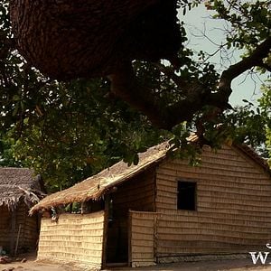 Foto Quem Se Importa