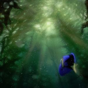 Foto Procurando Dory