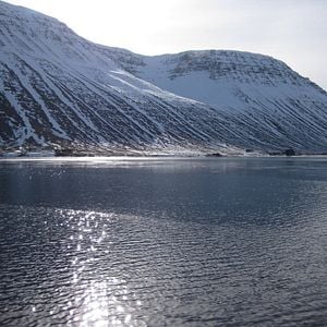 Foto Trashed - Para Onde Vai Nosso Lixo