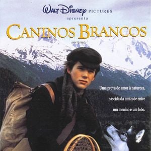 Foto Caninos Brancos