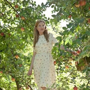 Foto O Sabor Dos Caroços De Maçã