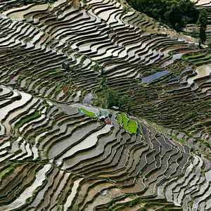 Foto Marcas da Água