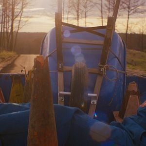 Foto Prince Avalanche