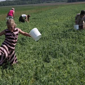 Foto A Guerra de Weibo