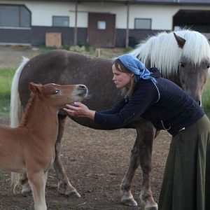 Foto A Guerra de Weibo