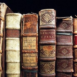 Foto Google e o Cérebro do Mundo