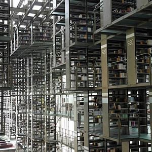 Foto Google e o Cérebro do Mundo