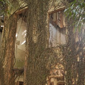 Foto Vazio Coração