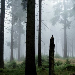 Foto Dreileben: Um Minuto no Escuro