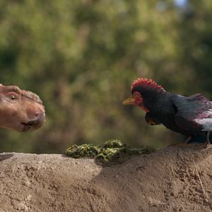 Foto Caminhando com Dinossauros