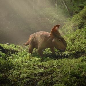 Foto Caminhando com Dinossauros