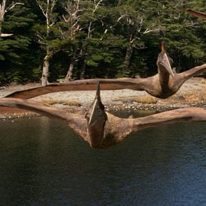 Foto Caminhando com Dinossauros