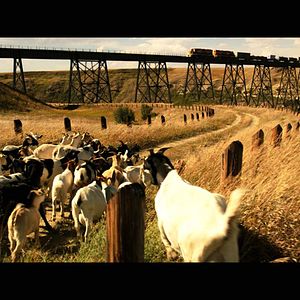 Foto Uma Viagem Extraordinária