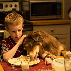 Foto Uma Viagem Extraordinária