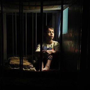 Foto Nos Braços de Minha Mãe