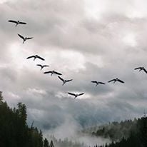 Foto Outono e Inverno