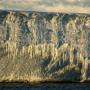 Foto O Último Oceano