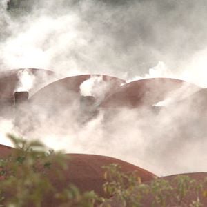 Foto A Corrida do Carbono