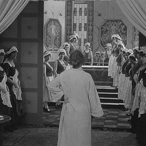 Foto A Princesa das Ostras