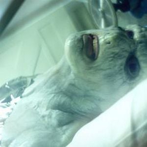 Foto O Combate Paranormal