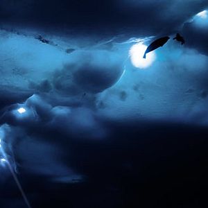 Foto O Último Oceano