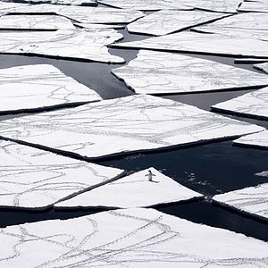 Foto O Último Oceano