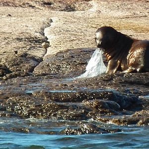 Foto Oceanos de Plástico