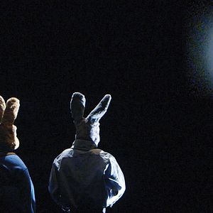 Foto O Jardim e o Amor dos Meus Pais