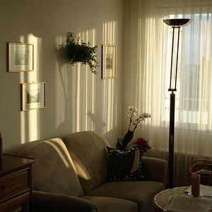 Foto O Jardim e o Amor dos Meus Pais