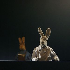 Foto O Jardim e o Amor dos Meus Pais