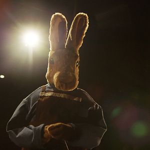 Foto O Jardim e o Amor dos Meus Pais