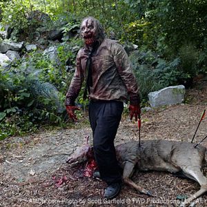 Foto The Walking Dead