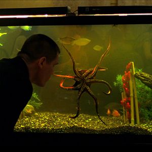 Foto Oldboy - Dias de Vingança