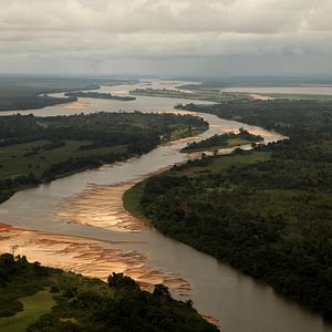 Foto Era uma Vez uma Floresta