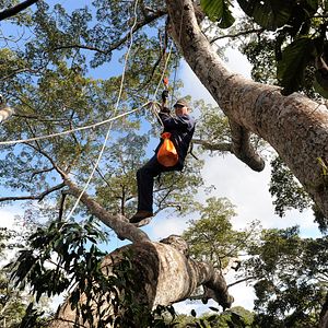 Foto Era uma Vez uma Floresta