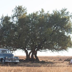 Foto Mandela - O Caminho Para a Liberdade