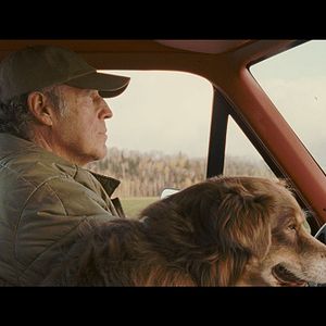 Foto Le Démantèlement