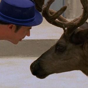 Foto Um Amor de Natal