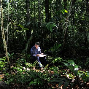 Foto Era uma Vez uma Floresta