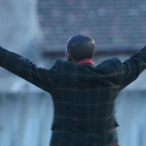 Foto São Eles os Cães